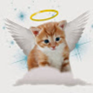 Meet your Posher, Yue